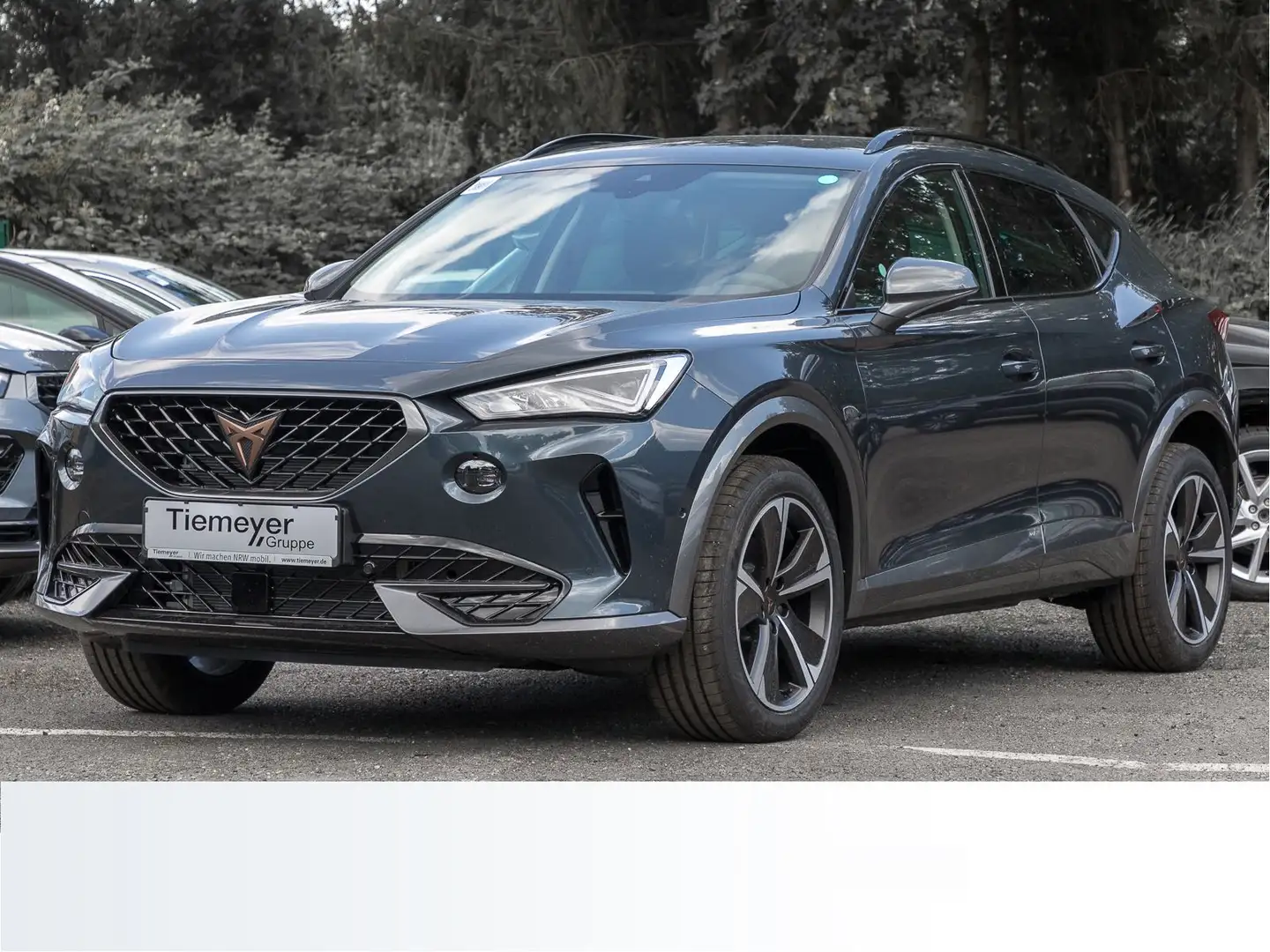 CUPRA Formentor 2.0 TDI DSG 4D NAVI FULL LINK LED VIRT Grau - 2