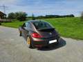 Volkswagen Beetle The Beetle 2.0 TSI DSG Sport Коричневий - thumbnail 2