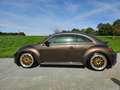 Volkswagen Beetle The Beetle 2.0 TSI DSG Sport Коричневий - thumbnail 1