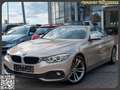 BMW 420 d Cabrio Automatik Sport Line Navi Prof. Argent - thumbnail 1