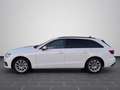 Audi A4 40 TFSI quattro S tronic PANO AHK NAVI Weiß - thumbnail 7