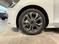 Ford Focus Focus 1.0 EcoBoost Hybrid 155 CV Powershift SW ST Bianco - thumbnail 12