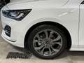 Ford Focus Focus 1.0 EcoBoost Hybrid 155 CV Powershift SW ST Bianco - thumbnail 13