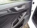 Ford Focus 1.0 Ecoboost ST-Line Automatik +ACC+TW Blanc - thumbnail 11