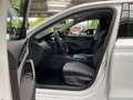 Skoda Octavia Combi Selection 1,5 TSI mHEV 110 kW 7-Ga Weiß - thumbnail 12