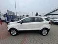 Ford EcoSport EcoSport 1.5 tdci Bianco - thumbnail 2