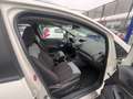 Ford EcoSport EcoSport 1.5 tdci Bianco - thumbnail 11