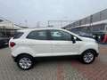 Ford EcoSport EcoSport 1.5 tdci Bianco - thumbnail 12