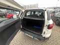 Ford EcoSport EcoSport 1.5 tdci Bianco - thumbnail 13