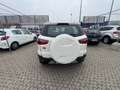 Ford EcoSport EcoSport 1.5 tdci Bianco - thumbnail 14