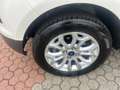 Ford EcoSport EcoSport 1.5 tdci Bianco - thumbnail 10