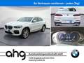 BMW X4 xDrive20i AT xLine Innovationsp. EDC Head-Up Weiß - thumbnail 1