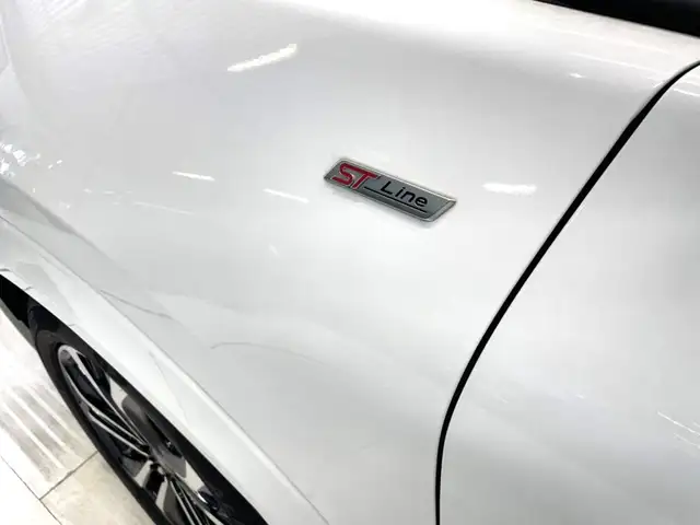 Ford Puma view 14
