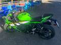 Kawasaki Ninja ZX-6R 636 2025 Verde - thumbnail 2