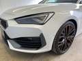 CUPRA Leon VZ 2.0 TSI DSG 245 Blanc - thumbnail 5
