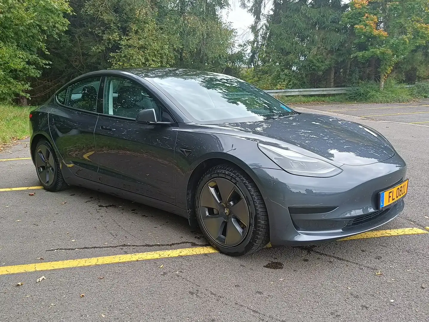 Tesla Model 3 Model 3 Standard Reichweite Plus Hinterradantrieb Grau - 2