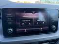 Skoda Kamiq Ambition 1.0 TSI 81 kW (110 CV) 7 marce - DSG Argento - thumbnail 14