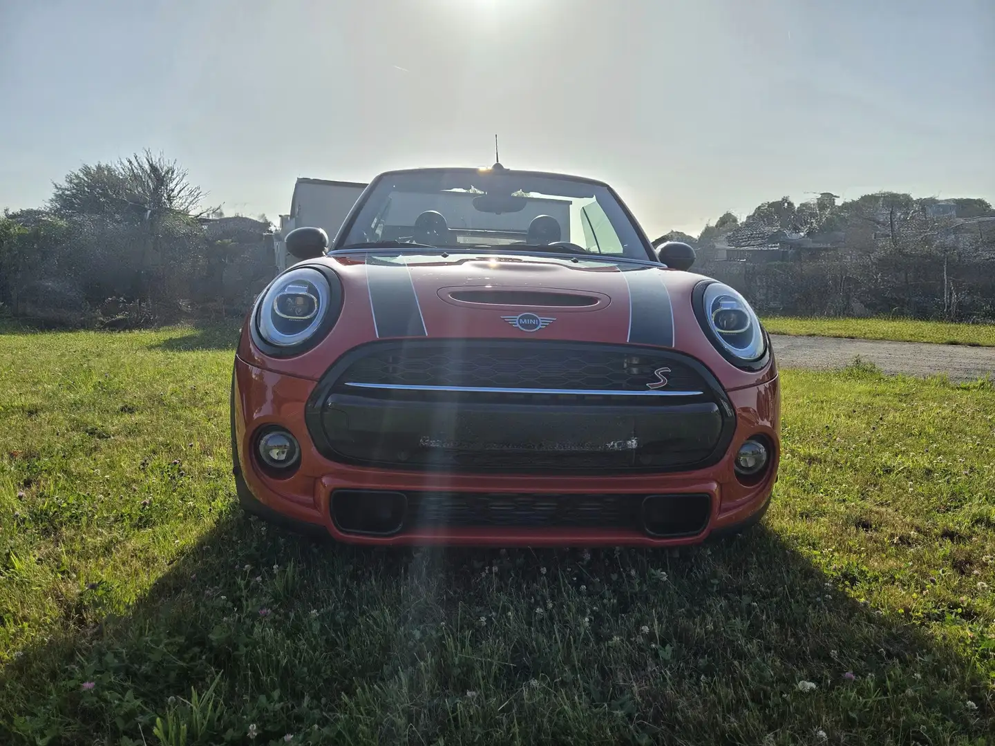 MINI Cooper S Cabrio Mini Cabriolet 2.0AS Cooper S OPF (EU6d-TEMP) Orange - 2