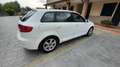 Audi A3 1.6 tdi Young Edition 90cv - thumbnail 3