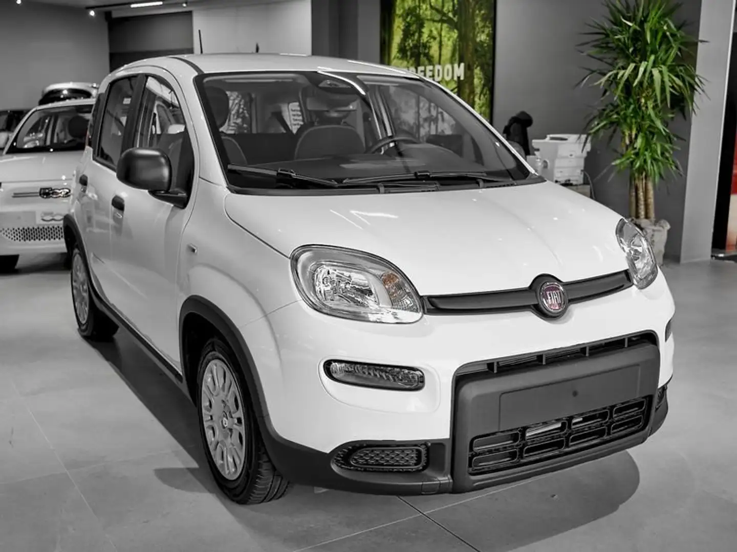 Fiat Panda 1.0 FireFly S&S Hybrid - 2
