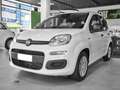 Fiat Panda 1.0 FireFly S&S Hybrid - thumbnail 1