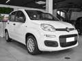 Fiat Panda 1.0 FireFly S&S Hybrid - thumbnail 2