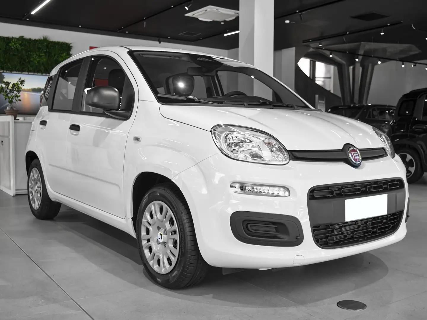 Fiat Panda 1.0 FireFly S&S Hybrid - 2