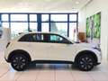 Fiat 600 Hybrid 110 CV DCT MHEV MY24 - PROMO MESE + TARGA Weiß - thumbnail 2