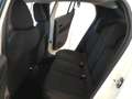 Fiat 600 Hybrid 110 CV DCT MHEV MY24 - PROMO MESE + TARGA Weiß - thumbnail 14