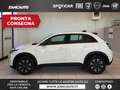 Fiat 600 Hybrid 110 CV DCT MHEV MY24 - PROMO MESE + TARGA Weiß - thumbnail 1