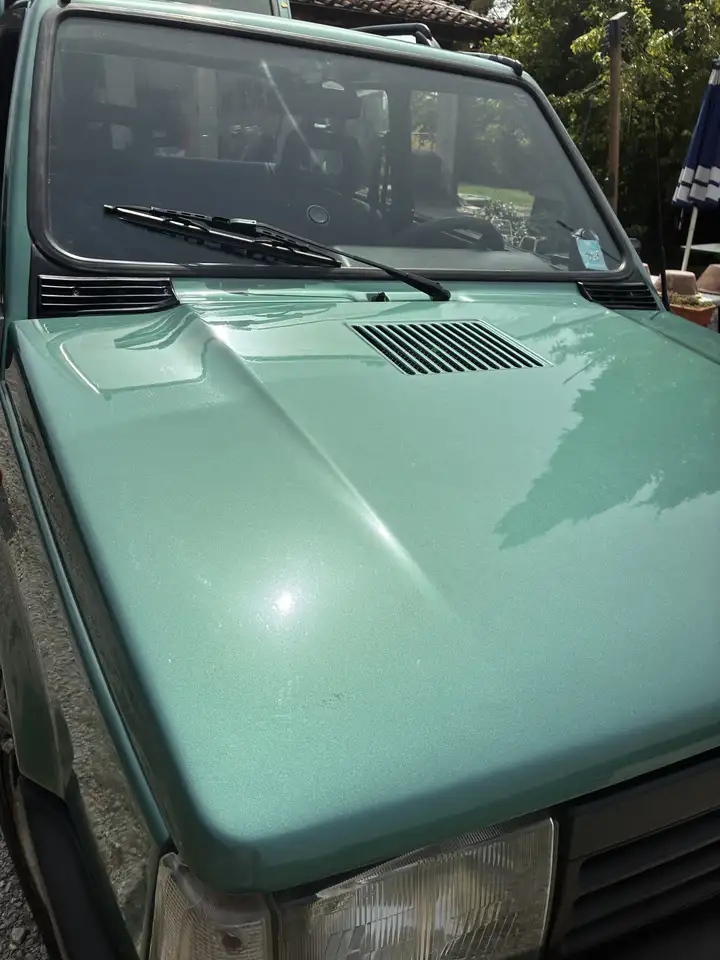 Fiat Panda LOVE Limited 0.9 Jolly, foto 1