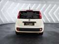 Fiat Panda 1.2 ''Easy'' Klima CD-Mp3 Zentralverriegelung Kopf Wit - thumbnail 5
