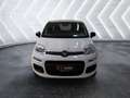 Fiat Panda 1.2 ''Easy'' Klima CD-Mp3 Zentralverriegelung Kopf Wit - thumbnail 2