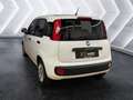 Fiat Panda 1.2 ''Easy'' Klima CD-Mp3 Zentralverriegelung Kopf Wit - thumbnail 4