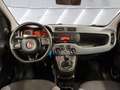 Fiat Panda 1.2 ''Easy'' Klima CD-Mp3 Zentralverriegelung Kopf Wit - thumbnail 7