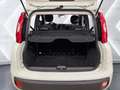 Fiat Panda 1.2 ''Easy'' Klima CD-Mp3 Zentralverriegelung Kopf Wit - thumbnail 12