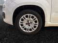 Fiat Panda 1.2 ''Easy'' Klima CD-Mp3 Zentralverriegelung Kopf Wit - thumbnail 6