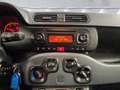 Fiat Panda 1.2 ''Easy'' Klima CD-Mp3 Zentralverriegelung Kopf Wit - thumbnail 10