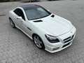 Mercedes-Benz SLK 200 SLK Roadster - R172 (cgi be) Sport Bianco - thumbnail 3
