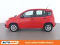Fiat Panda 1.2 Easy Rot - thumbnail 3