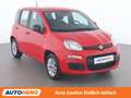 Fiat Panda 1.2 Easy Rot - thumbnail 8