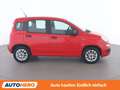 Fiat Panda 1.2 Easy Rot - thumbnail 7