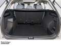 Skoda Kodiaq Selection 1 5 TSI m-HEV 110 kW 7-Gang-DSG Grau - thumbnail 6
