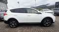 Toyota RAV 4 Rav4 2.0 d-4d Active 2wd 124cv mt Bianco - thumbnail 6
