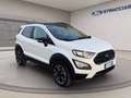 Ford EcoSport 1.0 ecoboost Active s&s 125cv Bianco - thumbnail 12
