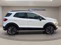 Ford EcoSport 1.0 ecoboost Active s&s 125cv Bianco - thumbnail 8