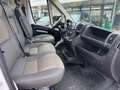 Fiat Ducato Kasten 30 140 L2H1 RS: 3450 mm Weiß - thumbnail 13