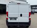 Fiat Ducato Kasten 30 140 L2H1 RS: 3450 mm Weiß - thumbnail 8