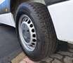 Mercedes-Benz Sprinter F 39/33 311CDI FWD EURO 6D TEMP ISC PREZZO+IVA 22% Blanc - thumbnail 13