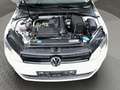 Volkswagen Golf Variant Golf Variant 1.2 TSI BlueMotion DSG AHK Blanc - thumbnail 16